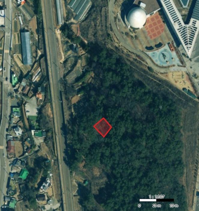 부산광역시 기장군 기장읍 석산리 산11-5 임야 경매 사진 4