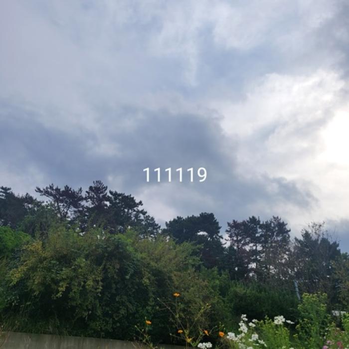 부산광역시 기장군 기장읍 석산리 산11-5 임야 경매 사진 5