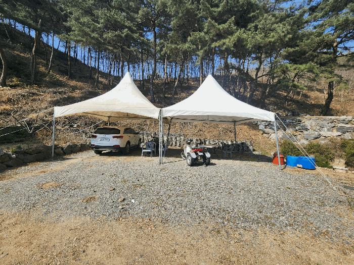 충청남도 예산군 대흥면 대률리 산53-2 임야 경매 사진 17
