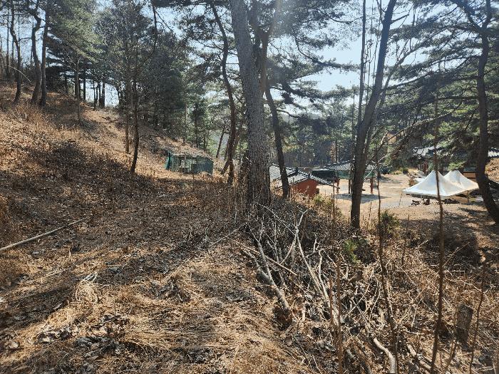 충청남도 예산군 대흥면 대률리 산53-2 임야 경매 사진 18