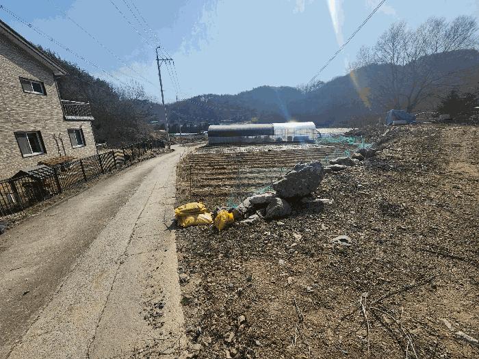 충청남도 예산군 대흥면 대률리 산53-2 임야 경매 사진 4