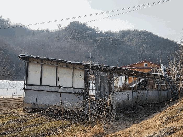충청남도 예산군 대흥면 대률리 산53-2 임야 경매 사진 9