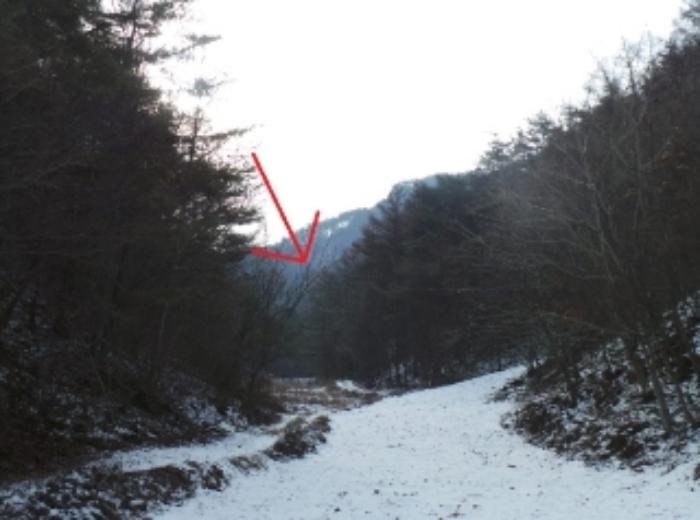 강원특별자치도 정선군 정선읍 애산리 산193 임야 경매 사진 1