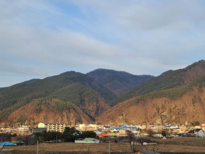 강원특별자치도 정선군 여량면 유천리 산172 임야 경매 사진 1