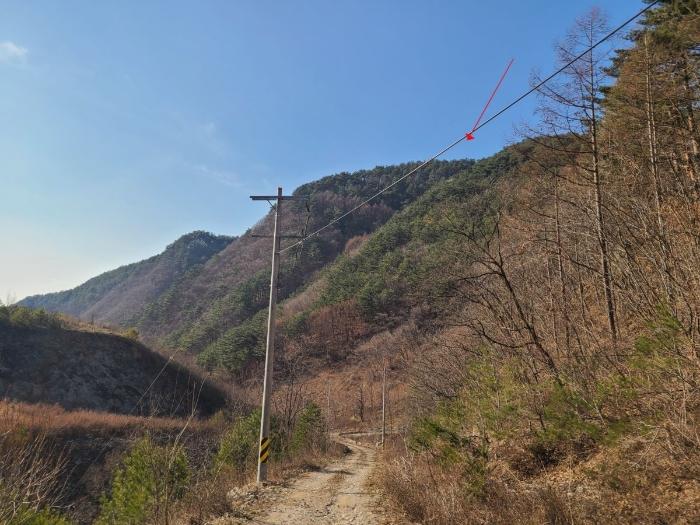 강원특별자치도 정선군 여량면 유천리 산172 임야 경매 사진 2