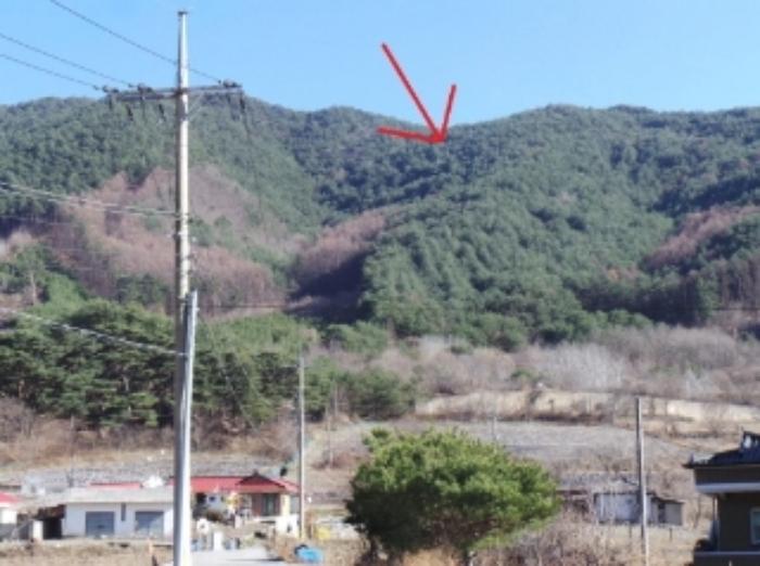강원특별자치도 정선군 여량면 유천리 산172 임야 경매 사진 3