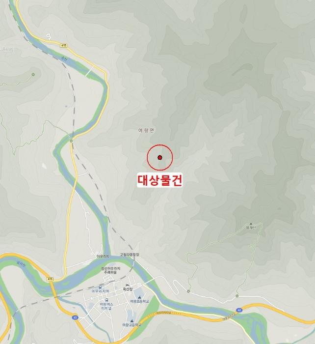 강원특별자치도 정선군 여량면 유천리 산172 임야 경매 사진 4