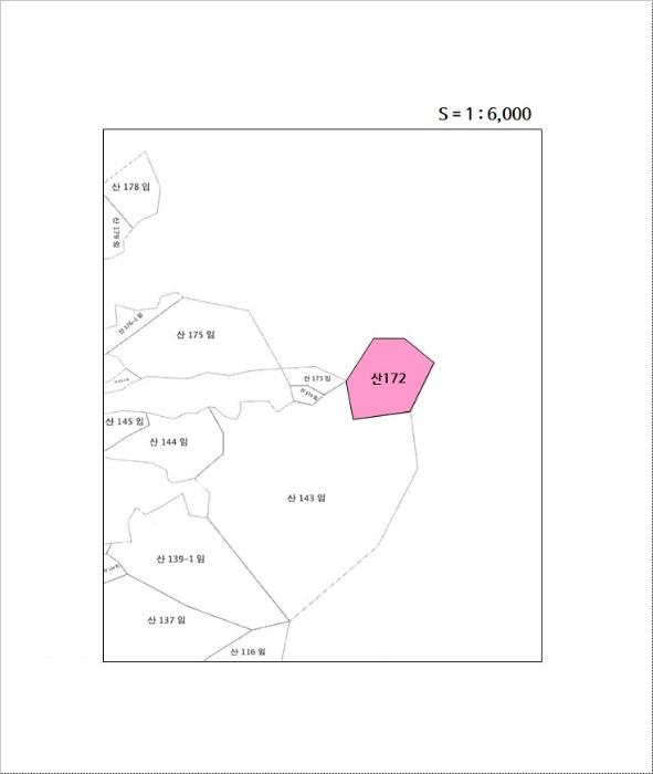 강원특별자치도 정선군 여량면 유천리 산172 임야 경매 사진 6