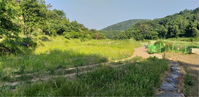 충청북도 옥천군 군서면 월전리 375 답 경매 사진 11