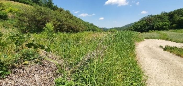 충청북도 옥천군 군서면 월전리 375 답 경매 사진 22