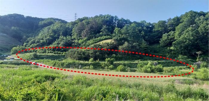 충청북도 옥천군 군서면 월전리 375 답 경매 사진 5