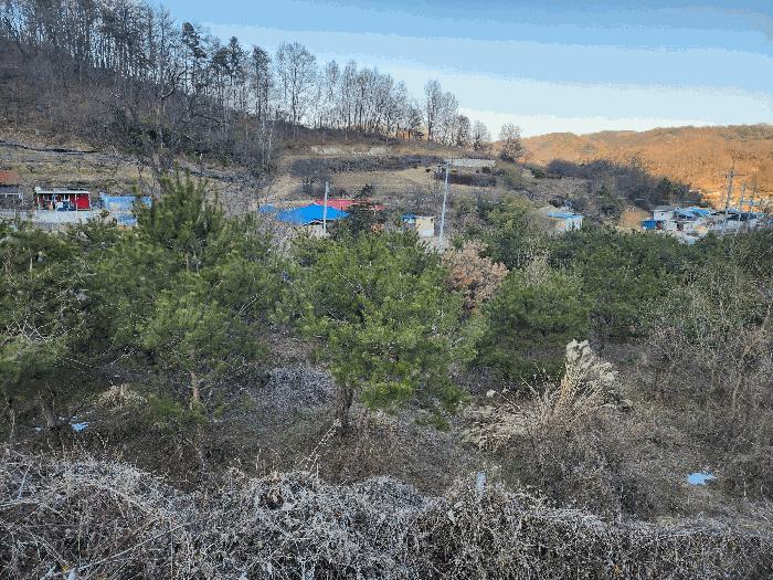 충청북도 영동군 용산면 부상리 622-1 대지 경매 사진 1