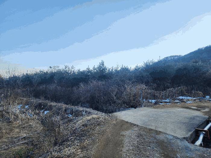충청북도 영동군 용산면 부상리 622-1 대지 경매 사진 11