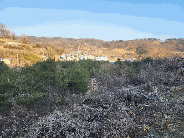 충청북도 영동군 용산면 부상리 622-1 대지 경매 사진 12