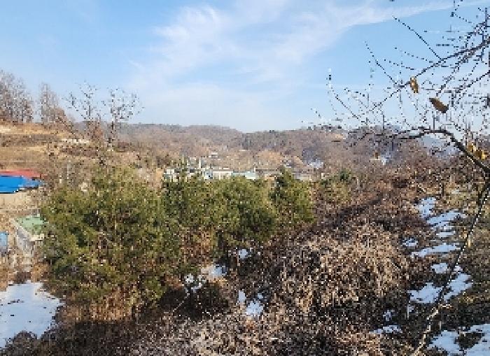 충청북도 영동군 용산면 부상리 622-1 대지 경매 사진 13