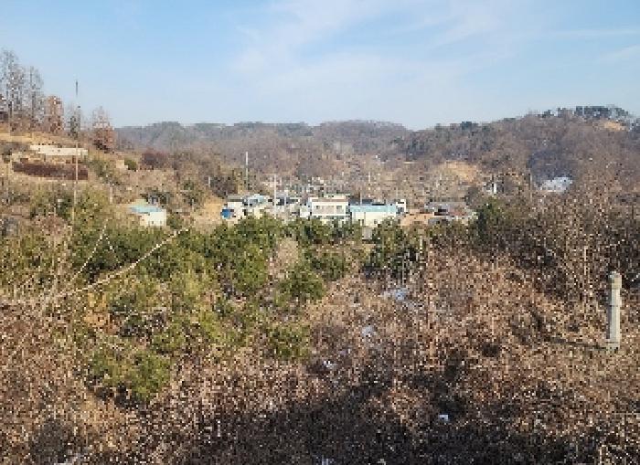 충청북도 영동군 용산면 부상리 622-1 대지 경매 사진 14