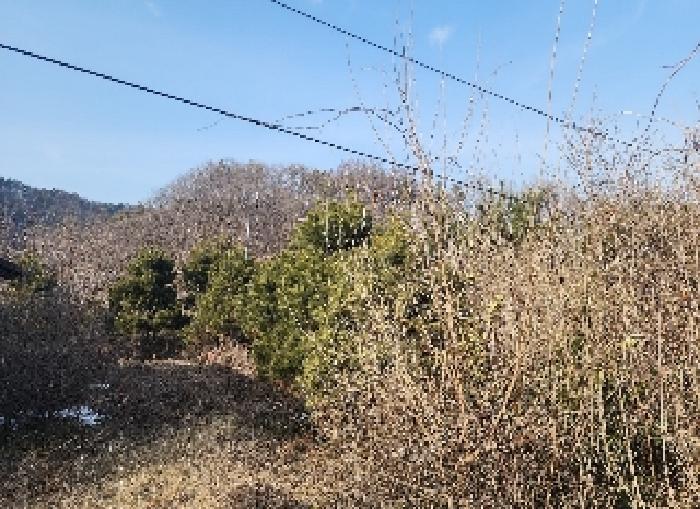 충청북도 영동군 용산면 부상리 622-1 대지 경매 사진 16