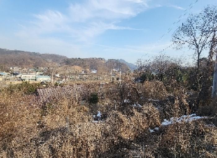 충청북도 영동군 용산면 부상리 622-1 대지 경매 사진 17