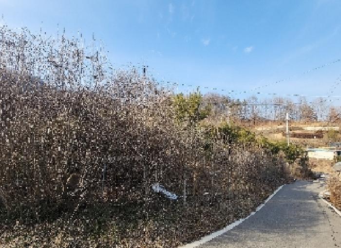 충청북도 영동군 용산면 부상리 622-1 대지 경매 사진 20