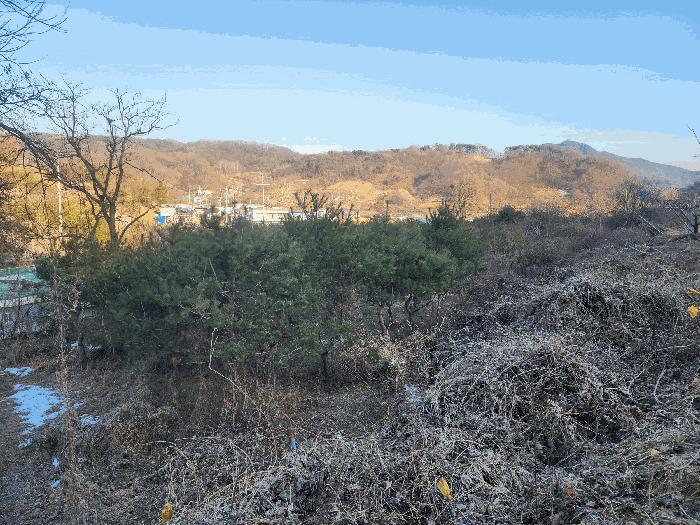 충청북도 영동군 용산면 부상리 622-1 대지 경매 사진 7