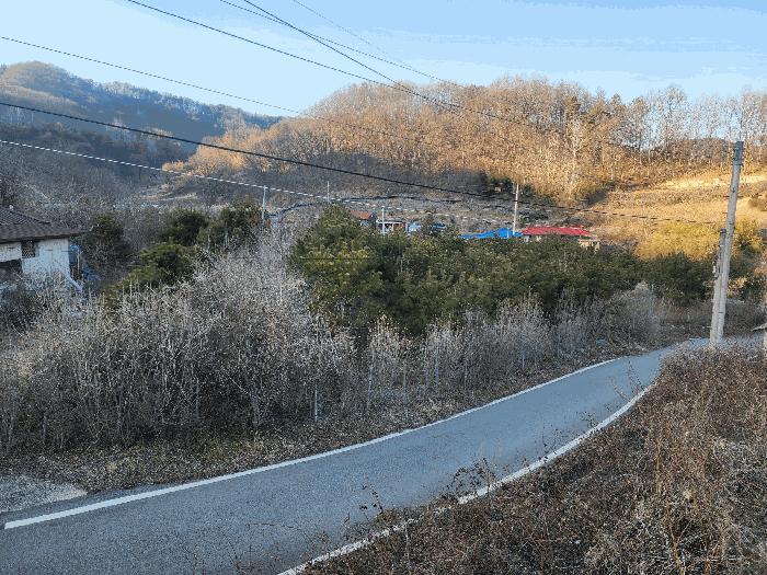 충청북도 영동군 용산면 부상리 622-1 대지 경매 사진 9