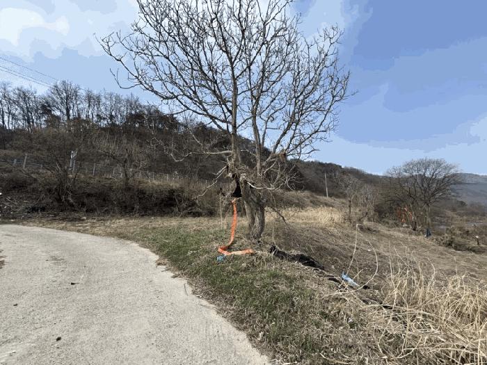 충청북도 영동군 심천면 고당리 1043-3 전 경매 사진 1