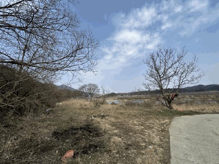 충청북도 영동군 심천면 고당리 1043-3 전 경매 사진 2