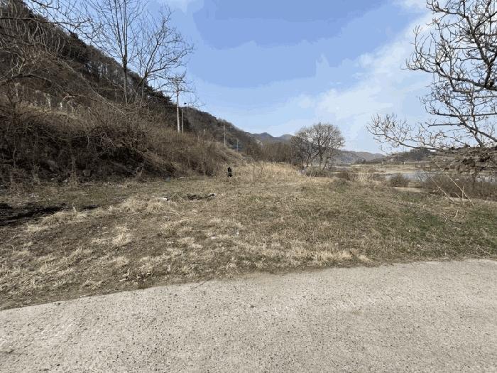 충청북도 영동군 심천면 고당리 1043-3 전 경매 사진 3