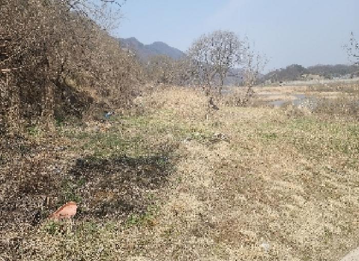 충청북도 영동군 심천면 고당리 1043-3 전 경매 사진 4