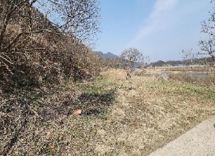 충청북도 영동군 심천면 고당리 1043-3 전 경매 사진 5