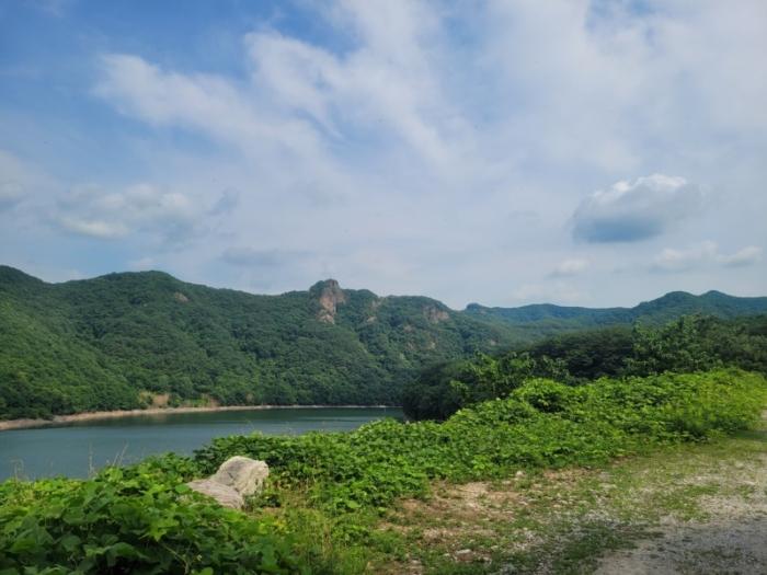 전라남도 담양군 금성면 원천리 산79-14 임야 경매 사진 2