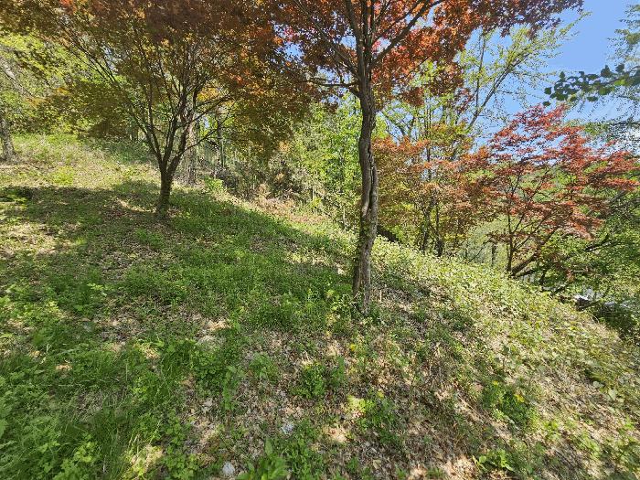 서울특별시 종로구 평창동 425-12 임야 경매 사진 3