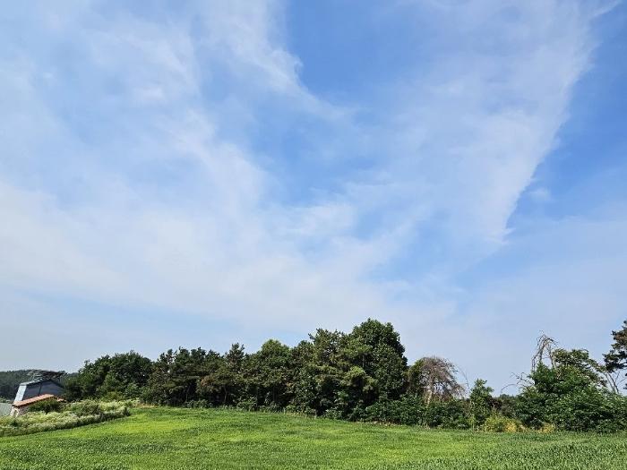 경기도 이천시 설성면 제요리 2 임야 경매 사진 20