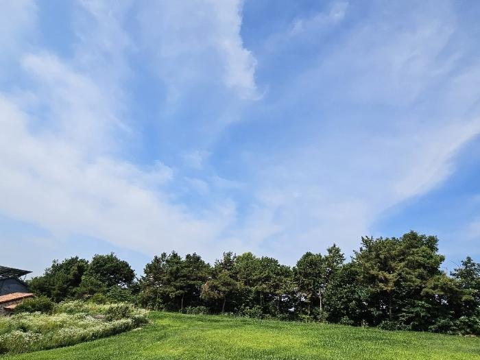 경기도 이천시 설성면 제요리 2 임야 경매 사진 21