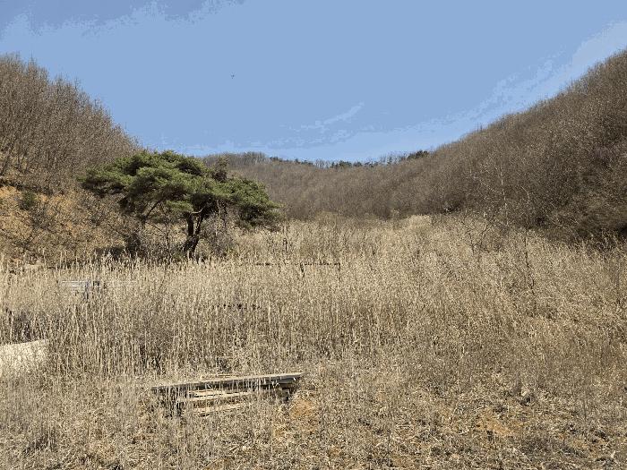 충청북도 괴산군 소수면 길선리 42-5 창고 경매 사진 10