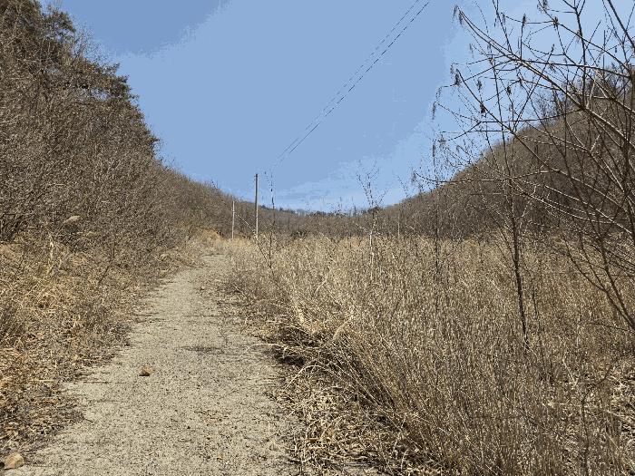 충청북도 괴산군 소수면 길선리 42-5 창고 경매 사진 16