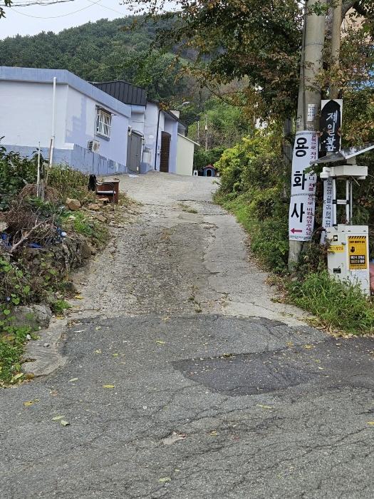 부산광역시 사하구 구평동 산58-6 임야 경매 사진 3