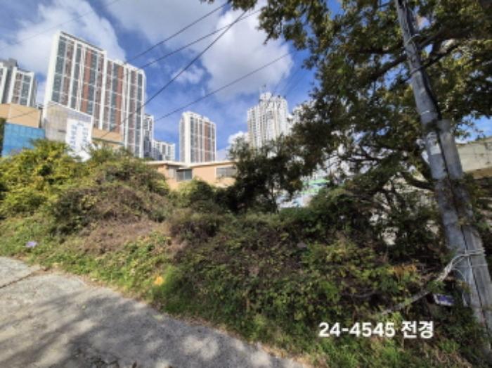 부산광역시 사하구 구평동 산58-6 임야 경매 사진 5