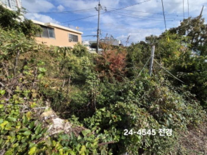 부산광역시 사하구 구평동 산58-6 임야 경매 사진 7