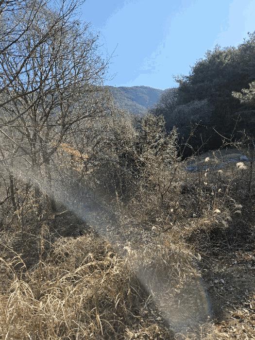 경상남도 함안군 군북면 박곡리 1085 전 경매 사진 33