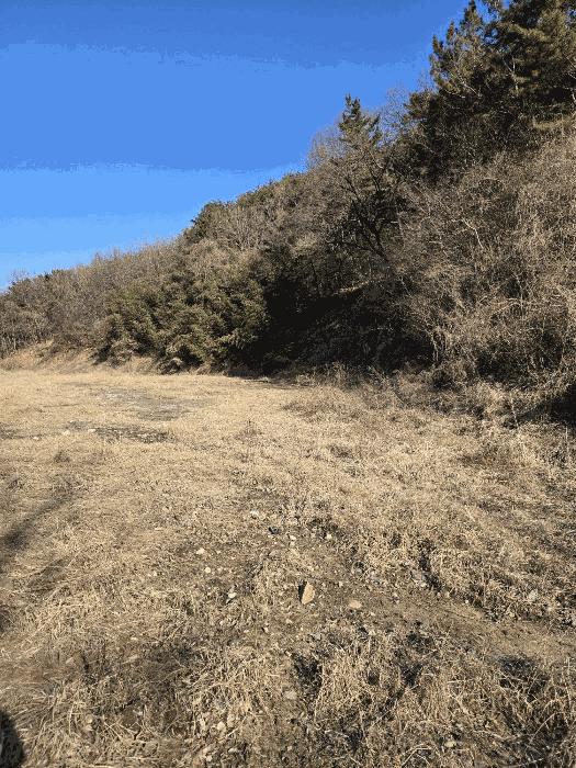 경상남도 함안군 군북면 박곡리 1085 전 경매 사진 41