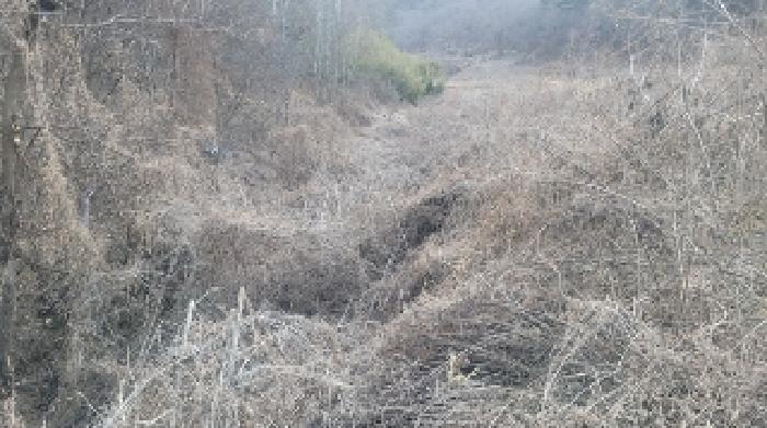 경상남도 함안군 군북면 박곡리 1085 전 경매 사진 48