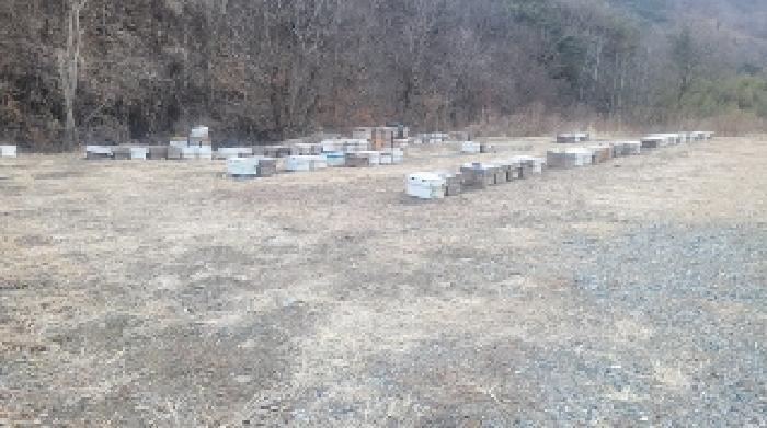 경상남도 함안군 군북면 박곡리 1085 전 경매 사진 51