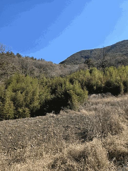 경상남도 함안군 군북면 박곡리 1112 임야 경매 사진 13