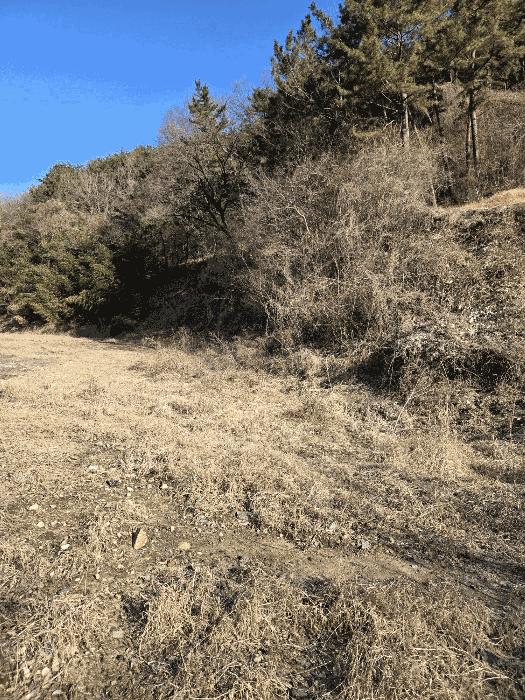 경상남도 함안군 군북면 박곡리 1112 임야 경매 사진 18