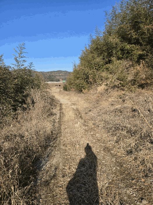 경상남도 함안군 군북면 박곡리 1112 임야 경매 사진 30