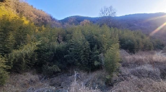 경상남도 함안군 군북면 박곡리 1112 임야 경매 사진 44