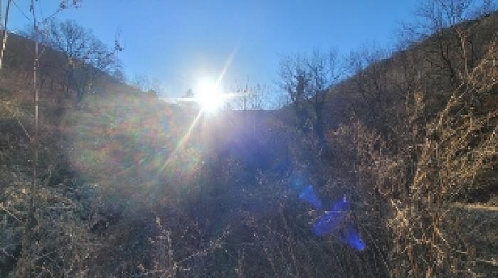 경상남도 함안군 군북면 박곡리 1112 임야 경매 사진 55