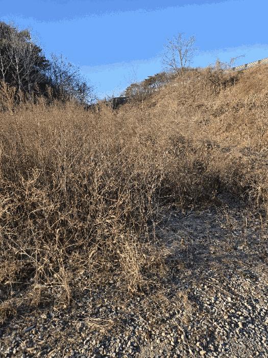 경상남도 함안군 군북면 박곡리 1121 답 경매 사진 29