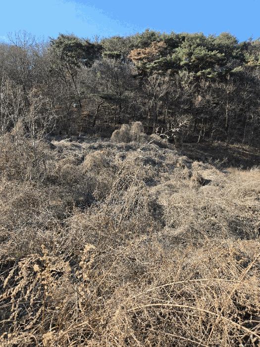 경상남도 함안군 군북면 박곡리 1132 답 경매 사진 1